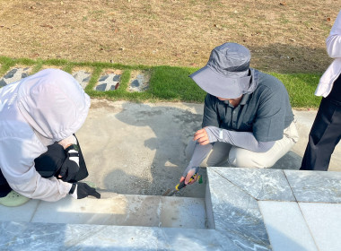 Big Cleaning Day พารามิเตอร์รูปภาพ 30